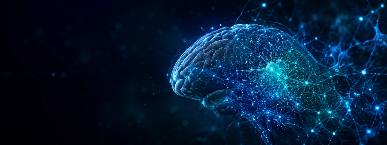 A glowing neural network of the human brain — plasticity and the protection of cognitive function