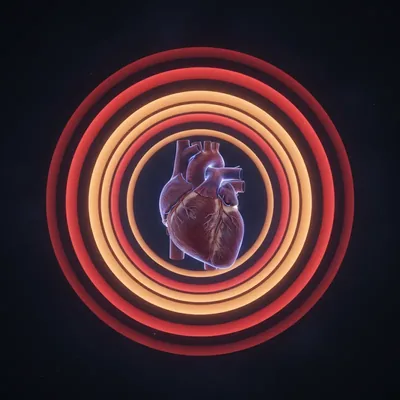 Heart Age (QRISK)